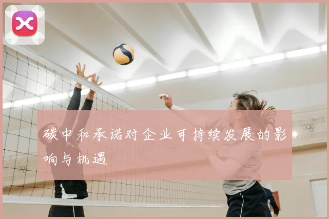 碳中和承诺对企业可持续发展的影响与机遇
