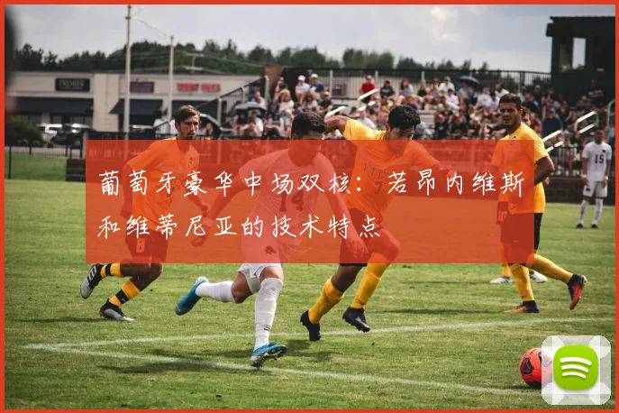 葡萄牙豪华中场双核:若昂内维斯和维蒂尼亚的技术特点