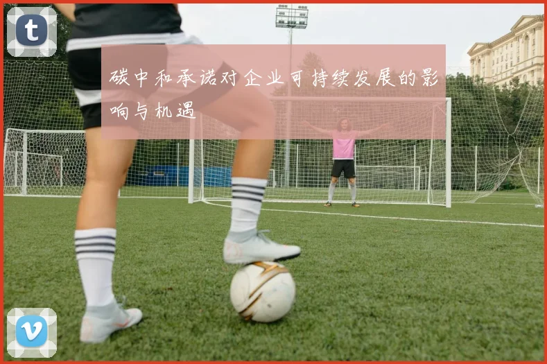 碳中和承诺对企业可持续发展的影响与机遇
