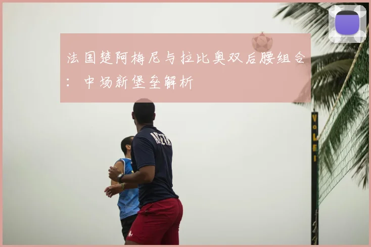 法国楚阿梅尼与拉比奥双后腰组合:中场新堡垒解析